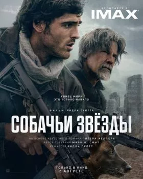 Собачьи звёзды